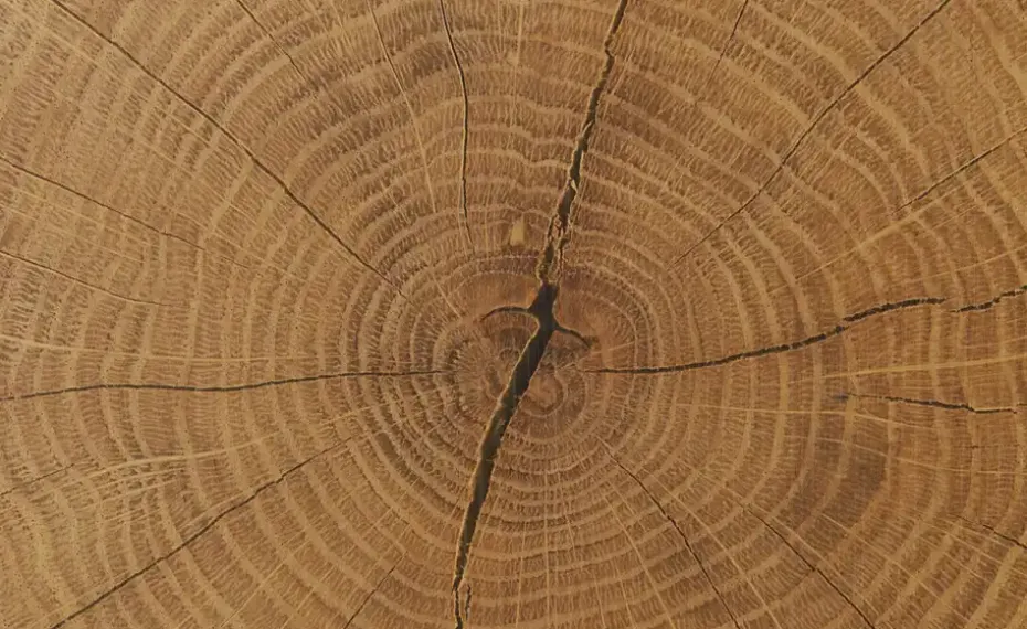 Barschrank