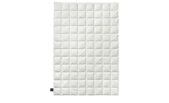 Billerbeck Kassettendecke Superlight Belja 2.0 Edition