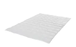 Billerbeck Kassettendecke Superlight Belja 2.0 Edition