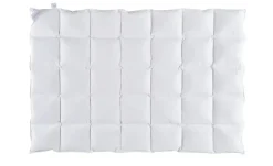 Billerbeck Kassettendecke Ramona
