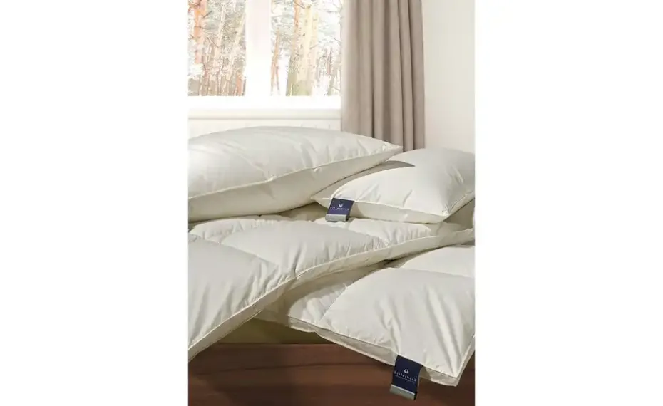 Billerbeck Kassettendecke IV Belja 2.0 Edition