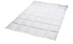 Billerbeck Kassettendecke Mono Belja 2.0 Edition