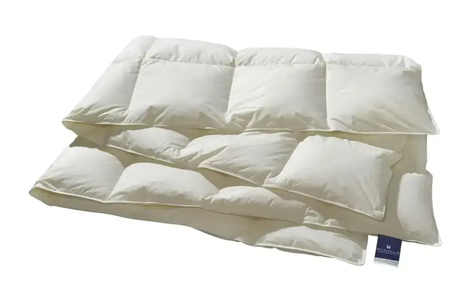 Billerbeck Kassettendecke II Belja 2.0 Edition