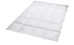 Billerbeck Kassettendecke II Belja 2.0 Edition