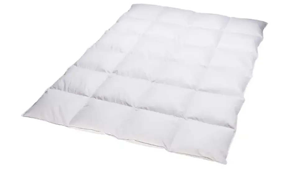 Billerbeck Kassettendecke VI Belja 2.0 Edition