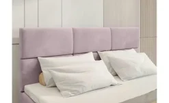 Boxbett Boston