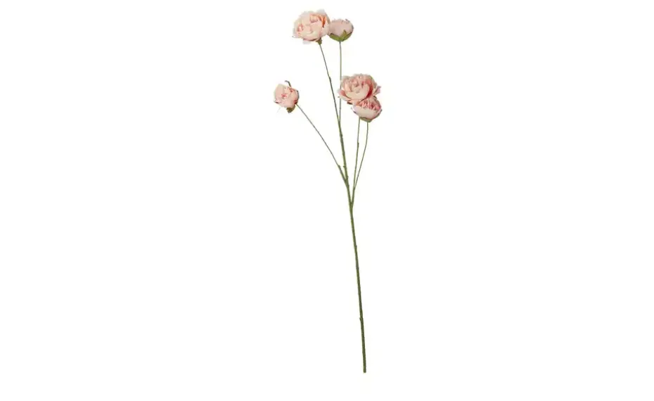 Deko Peonie