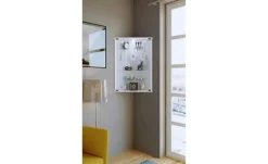 Eckvitrine