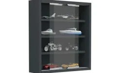 Hängevitrine