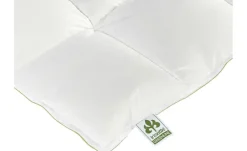 IRISETTE Daunendecke Medium Greenline Daunen