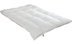 IRISETTE Daunensteppbett extra warm