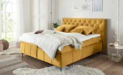 Kollektion Kraft Boxspringbett Pembroke