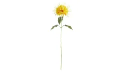 Kunstblume Monarda