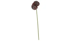 Kunstblume Anthurium