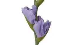 Kunstblume Gladiole