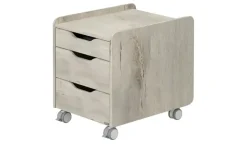 PAIDI Rollcontainer