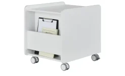 PAIDI Rollcontainer