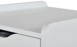 PAIDI Rollcontainer