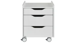 PAIDI Rollcontainer