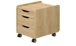 PAIDI Rollcontainer