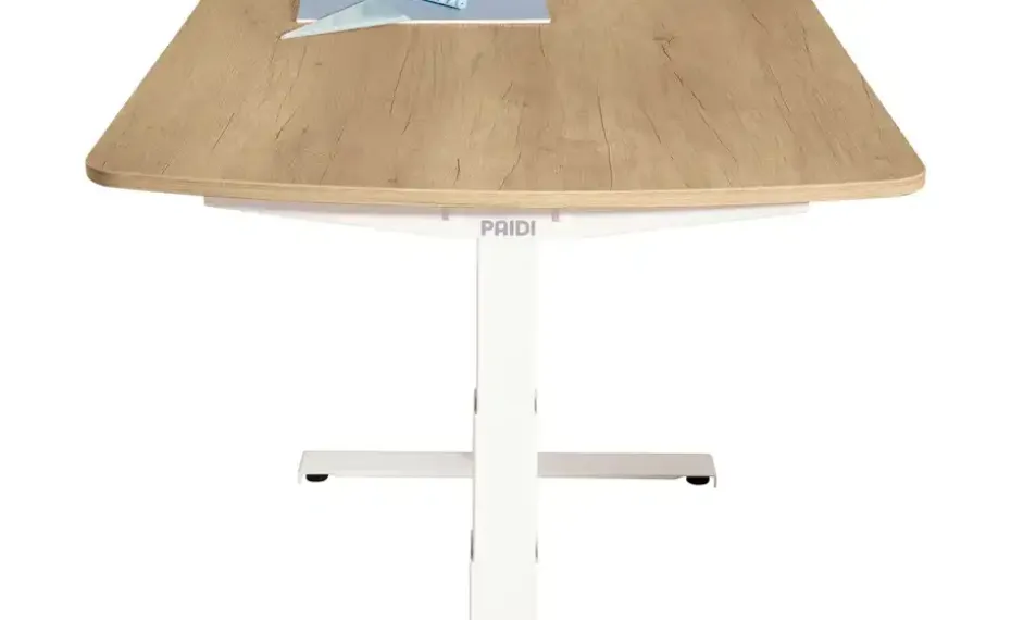 PAIDI Schreibtisch e-lion