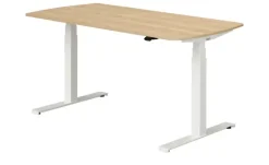 PAIDI Schreibtisch e-lion