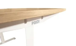 PAIDI Schreibtisch e-lion