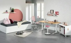 PAIDI Schreibtisch e-lion