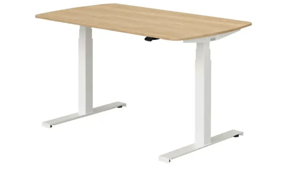 PAIDI Schreibtisch e-lion