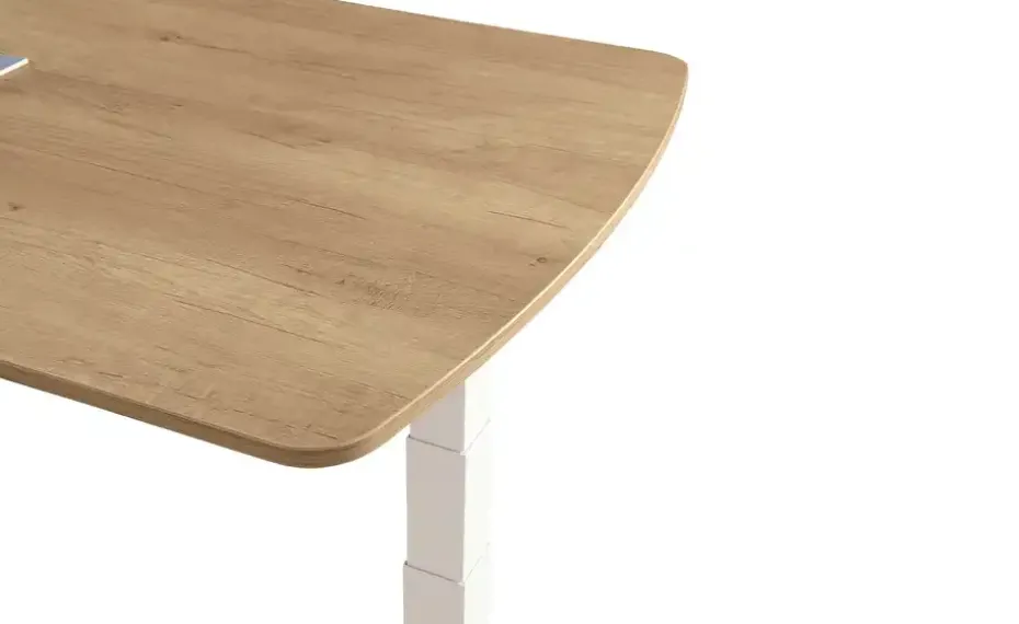 PAIDI Schreibtisch e-lion