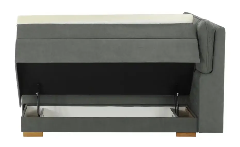 Wohnwert Boxspringbett mit Bettkasten Dormian Besta