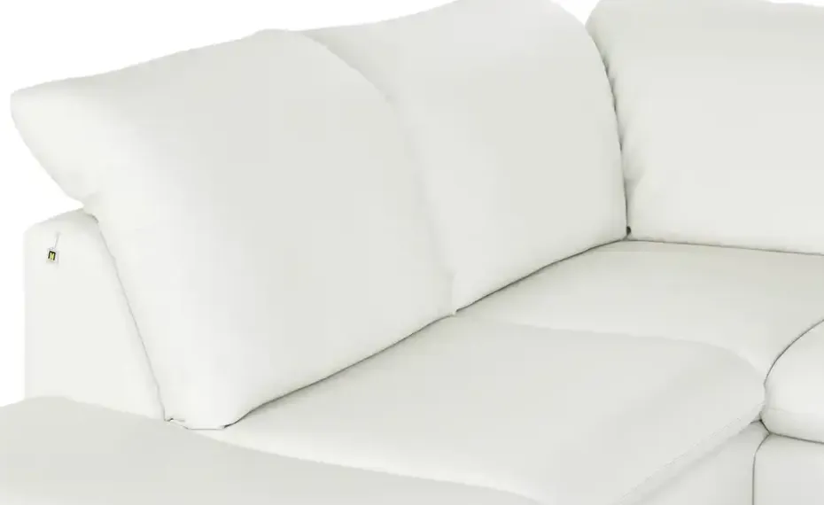 W.SCHILLIG Ledersofa